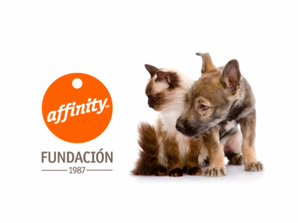 La Fundacin Affinity dona suport als Premis Talent Cambra 2020