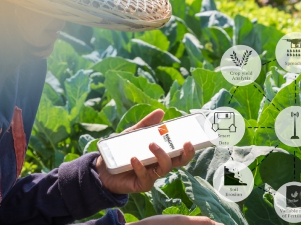 Convocats el Premi a la Innovaci Tecnolgica Agroalimentria (PITA) i el Ruralapps 2021